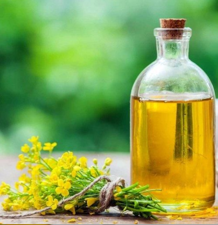 High Quality Canola Oil 60% CAS 120962-03-0