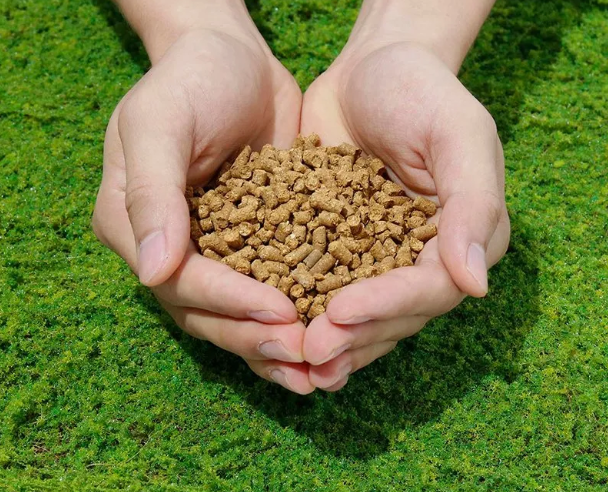 Advanced Technology Humic Acid NPK Soil Conditioner Organic Granular Fertilizer