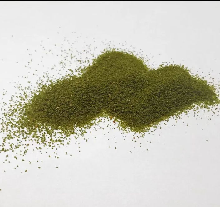Powder Ascophyllum Nodosum Seaweed Extract Powder Fertilizer